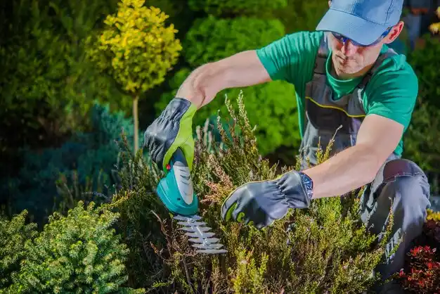 landscaping services Middlefield